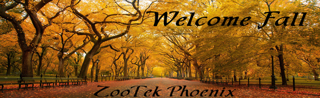 Zoo Tek Phoenix