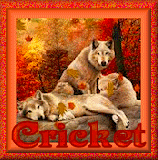 Cricket